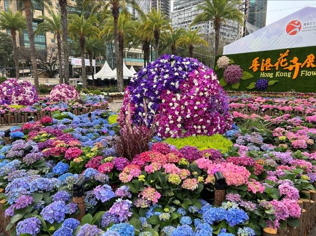 香港花卉展覽主題花花牆及花圃 - 繡麗綻放、幸福滿載