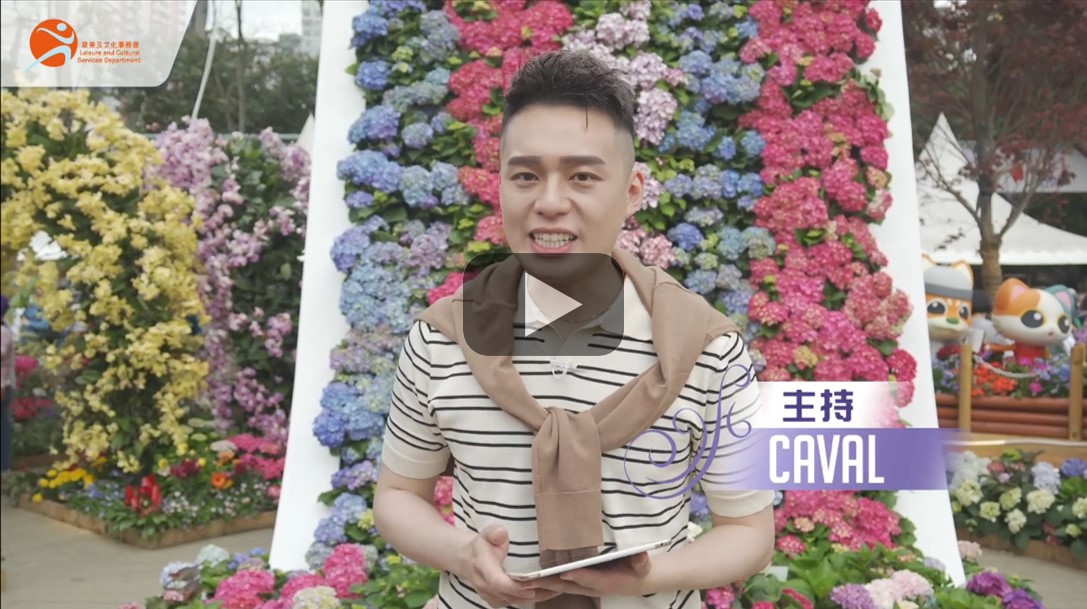 Let's Explore the Colourful Flower Show - Horticulture Classroom (Live Streaming)