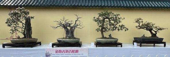 道教香港青松观