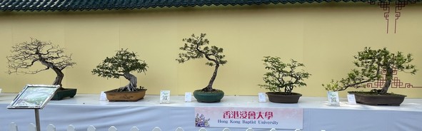 香港浸会大学