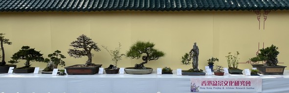 香港盆景文化研究会