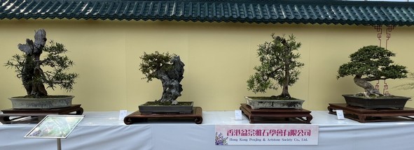 香港盆景雅石学会有限公司