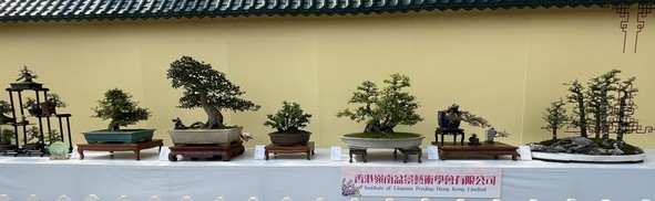 香港岭南盆景艺术学会有限公司