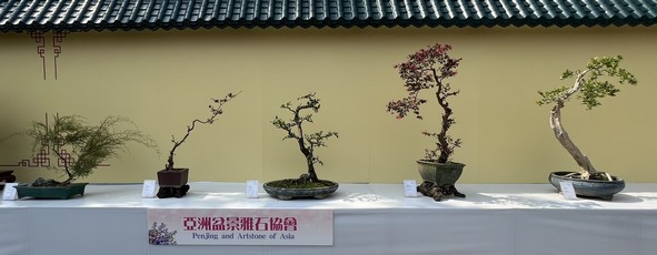 亚洲盆景雅石协会
