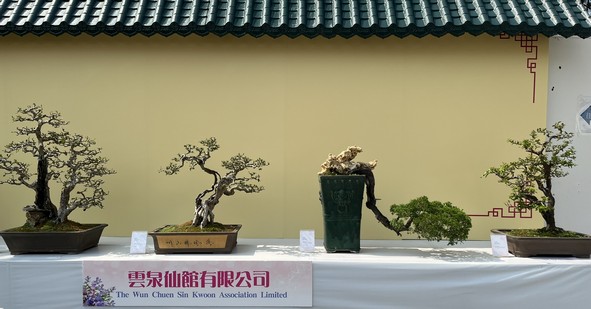 云泉仙馆有限公司