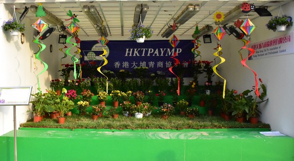 Hong Kong Tai Po Association of Young Merchants and Professionals Limited