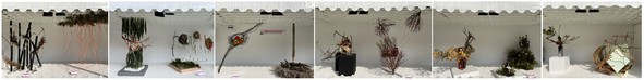 Ikebana International Hong Kong Chapter
