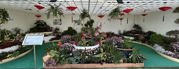 Institute of Horticulture (Hong Kong)