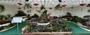 Institute of Horticulture (Hong Kong)