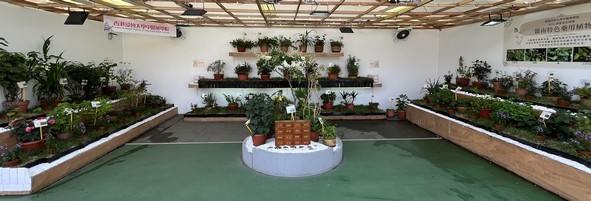 School of Chinese Medicine of Hong Kong Baptist University