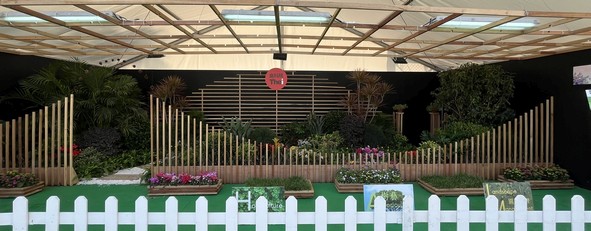 Technological and Higher Education Institute of Hong Kong