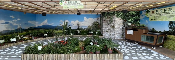 The Chinese University of Hong Kong (Institute of Chinese Medicine, School of Chinese Medicine, Hong Kong Institute of Integrative Medicine, Landscaping Section of Estates Management Office)