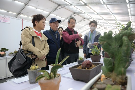 Plant Exhibit Competition