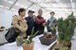 Plant Exhibit Competition