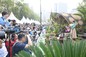 Portrait of TVB Artistes and Miss Hong Kong