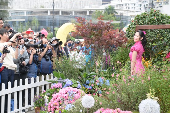 Portrait of TVB Artistes and Miss Hong Kong