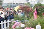 Portrait of TVB Artistes and Miss Hong Kong