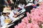 Jockey Club Student Drawing Competition