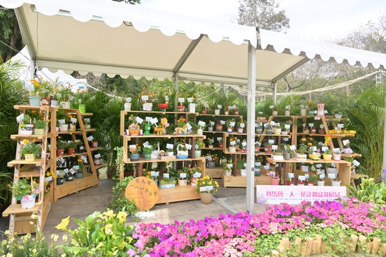 Jockey Club One Person, One Flower Scheme Potted Plants
