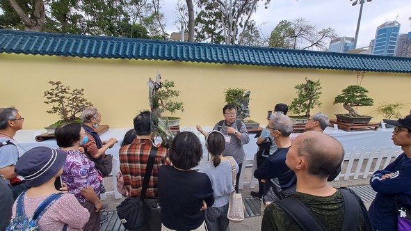 Bonsai Display Guided Tour
