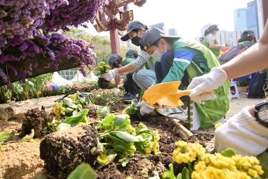 Green Recycling Day