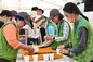 Green Recycling Day