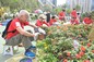 Green Recycling Day