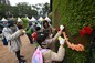 Jockey Club Mosaiculture Display by Students