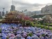 Architectural Services Department <The Blossom Nest: Where Nature and Architecture Converge>
