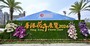 Hong Kong Flower Show Three-dimensional Floral Wall