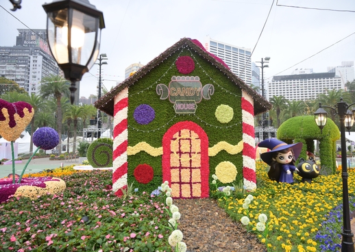 The Candy House