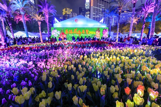 Sea of Tulips