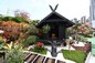 First Prize: Kwai Tsing District <Joy in Nature>