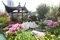 Third Prize: Kowloon City District <A Relaxing Garden at Home>