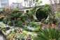 Central and Western District <Rustic Garden>