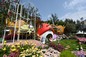 Sha Tin District <A Fantastic House of Mushrooms>