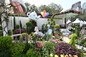 Tuen Mun District <An Amusing Garden Stroll>