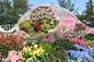 Beijing Municipal Administration Centre of Parks China National Botanical Garden <Peking Beauty