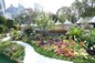 Shanghai Landscaping and City Appearance Administrative Bureau <A Meeting with Splendid Flowers>