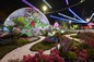 Beijing Municipal Administration Centre of Parks China National Botanical Garden <Peking Beauty>