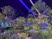 Guangzhou Forestry and Landscaping Bureau <The Lotus Garden of Unity>