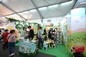 Pop-Up Library