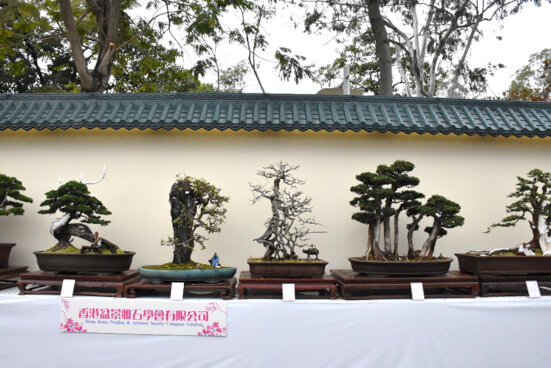 Hong Kong Penjing & Artstone Society Company Limited