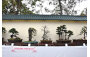 Hong Kong Penjing & Artstone Society Company Limited