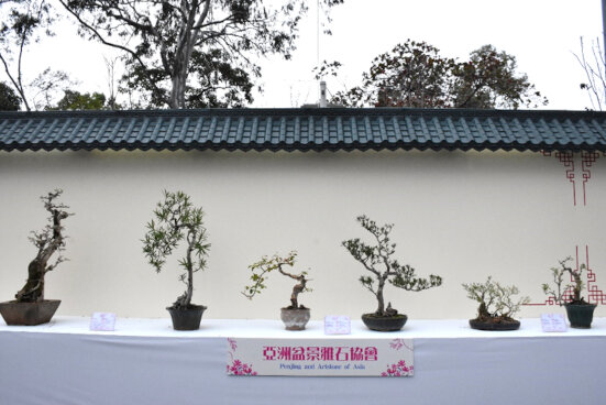 Penjing and Artstone of Asia