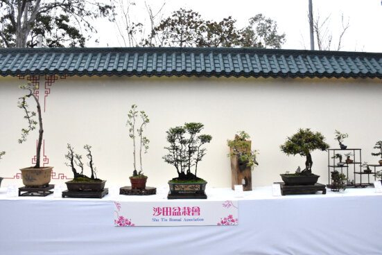 Sha Tin Bonsai Association