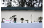 Association of Horticulture, Lantau Island