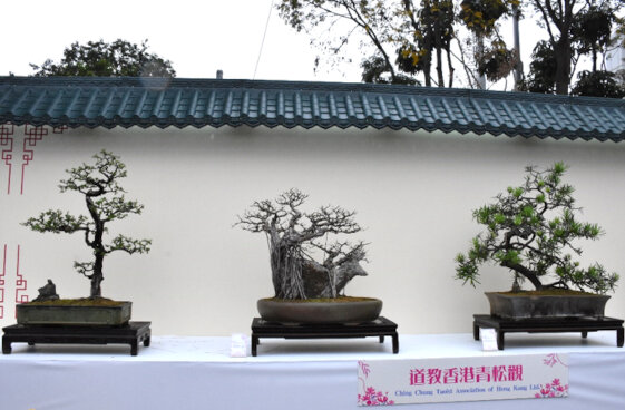 Ching Chung Taoist Association of Hong Kong Ltd.