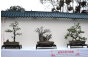 Ching Chung Taoist Association of Hong Kong Ltd.