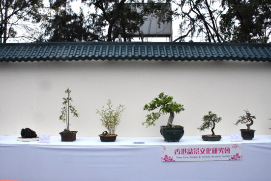 Hong Kong Penjing & Artstone Research Institute